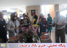 سفر دهمین قطار گردشگران خارجی به 9 شهر ایران