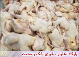 تولید 70 هزار تن مرغ گوشتی در 5 ماهه نخست سال جاری