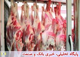 گوشت میش وارداتی 40درصد پایین تر از گوشت گوسفند وارداتی عرضه می شود