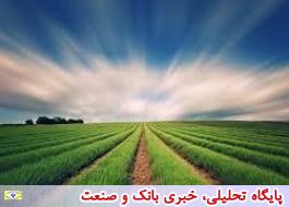 محصولات کشاورزی به عراق صادر می شود