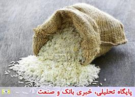 ادامه روند واردات برنج/حمایت از برنج کاران دریغ شد