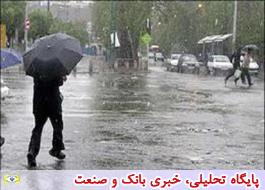 بارندگی اخیر 11 میلیارد ریال به تاسیسات برق استان بوشهر خسارت زد
