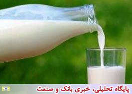 دستور حجتی برای ادامه خرید توافقی شیرخام تا پایان سال96