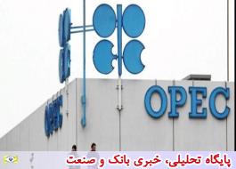 واکنش بازار نفت به احتمال تمدید توافق اوپک