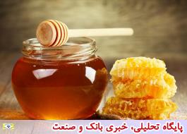 عسل 15 هزار تومانی طبیعی نیست/ جهان شدنی عسل ایرانی نیازمند گذر از ذره بین سازمان استاندارد