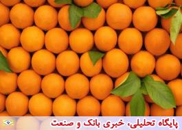 افزایش 6 برابری قیمت پرتقال از باغ تا مغازه