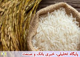 برنج دومین محصول پرمصرف ایرانیان