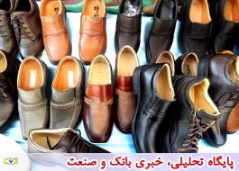 پویش خرید کالا 40 درصد به فروش کفش ایرانی افزود