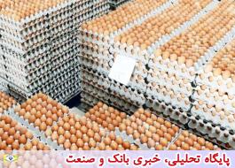 مازاد تولید تخم‌مرغ داریم اما اجازه صادرات را هم نمی‌دهند