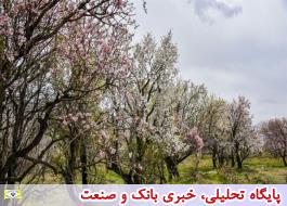 نشست مجازی گردشگری و طبیعت بهاری شهریار برگزار می شود