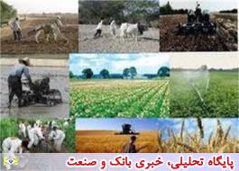 تاخیر 16 روزه وزارت جهاد کشاورزی در اعلام الگوی کشت