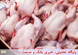 صدور مجوز واردات 50 هزار تن گوشت مرغ گرم