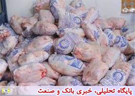 پیش بینی صادرات مرغ مازاد پس از ماه مبارک رمضان