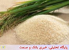 پشت‌پرده گرانی برنج/ کاهش35 درصدی قیمت‌ با عرضه برنج جدید